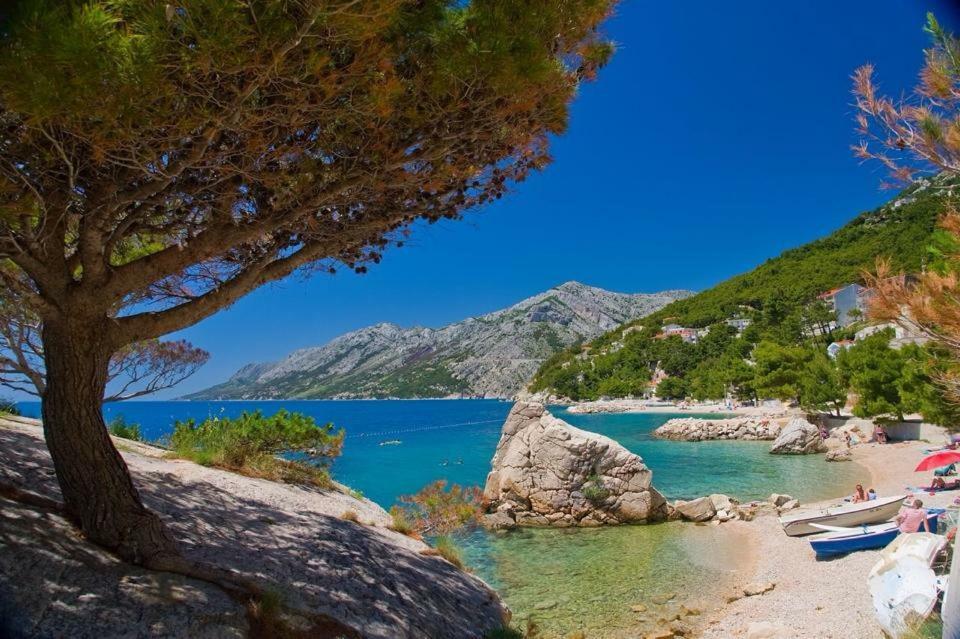 Villa Luka 布雷拉 外观 照片