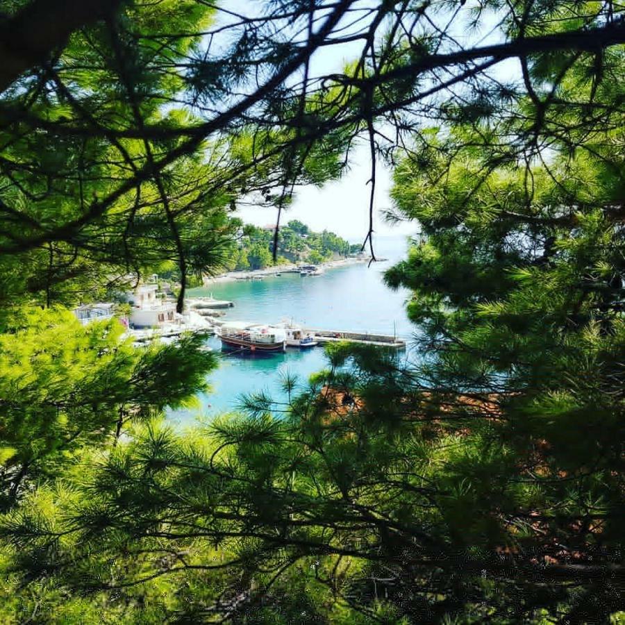 Villa Luka 布雷拉 外观 照片